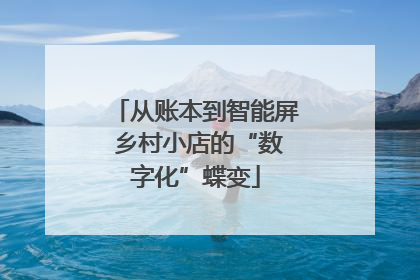 从账本到智能屏 乡村小店的“数字化”蝶变