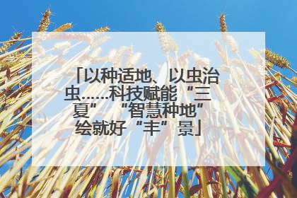 以种适地、以虫治虫……科技赋能“三夏” “智慧种地”绘就好“丰”景