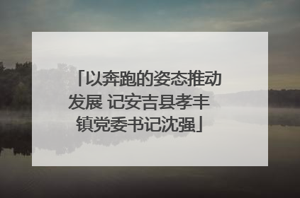 以奔跑的姿态推动发展 记安吉县孝丰镇党委书记沈强