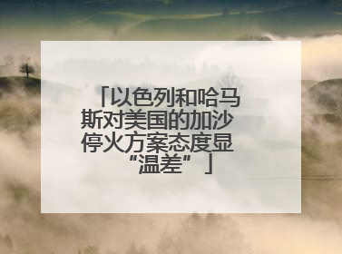 以色列和哈马斯对美国的加沙停火方案态度显“温差”