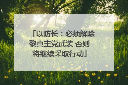 以防长：必须解除黎真主党武装 否则将继续采取行动