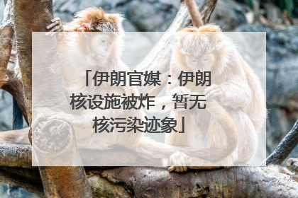伊朗官媒：伊朗核设施被炸，暂无核污染迹象