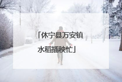 休宁县万安镇水稻插秧忙