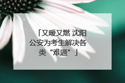 又暖又燃 沈阳公安为考生解决各类“难题”