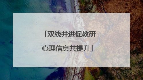 双线并进促教研 心理信息共提升