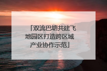 双流巴塘共建飞地园区打造跨区域产业协作示范