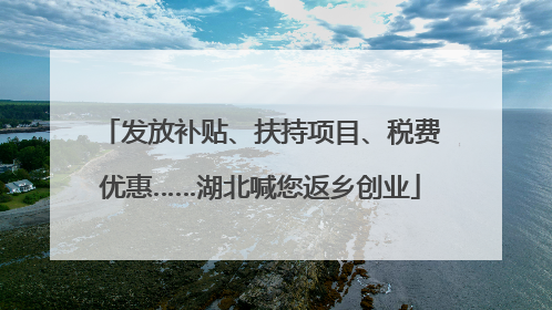 发放补贴、扶持项目、税费优惠……湖北喊您返乡创业
