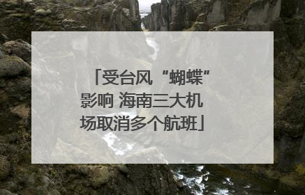 受台风“蝴蝶”影响 海南三大机场取消多个航班