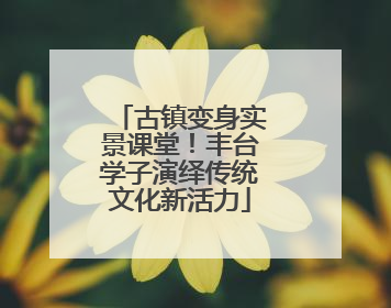古镇变身实景课堂！丰台学子演绎传统文化新活力