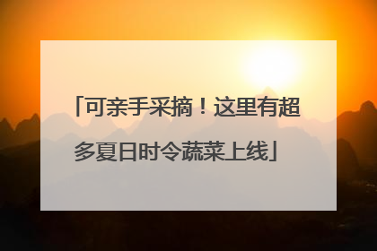 可亲手采摘！这里有超多夏日时令蔬菜上线