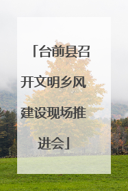 台前县召开文明乡风建设现场推进会