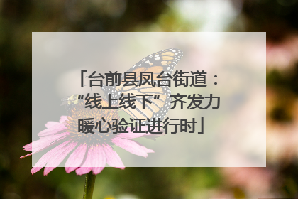 台前县凤台街道：“线上线下”齐发力 暖心验证进行时