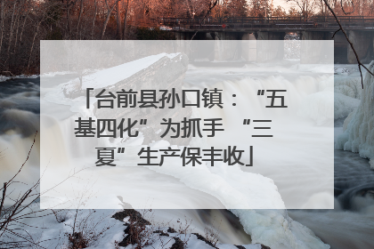 台前县孙口镇：“五基四化”为抓手 “三夏”生产保丰收