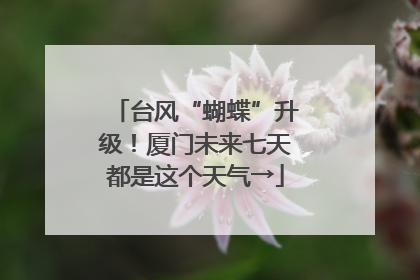 台风“蝴蝶”升级！厦门未来七天都是这个天气→