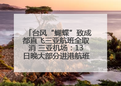 台风“蝴蝶”致成都直飞三亚航班全取消 三亚机场：13日晚大部分进港航班还未取消