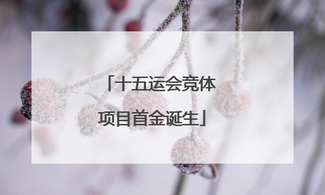 十五运会竞体项目首金诞生