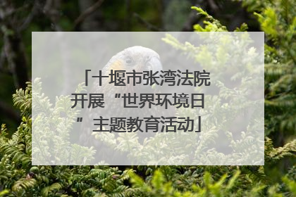 十堰市张湾法院开展“世界环境日”主题教育活动