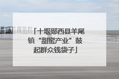 十堰郧西县羊尾镇“甜蜜产业”鼓起群众钱袋子