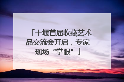 十堰首届收藏艺术品交流会开启，专家现场“掌眼”