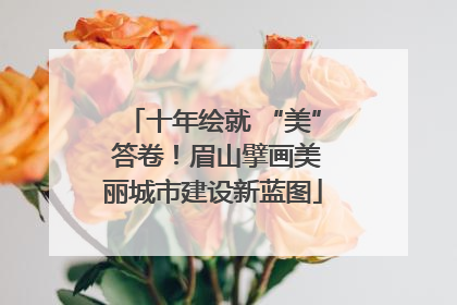十年绘就 “美” 答卷！眉山擘画美丽城市建设新蓝图