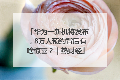 华为一新机将发布，8万人预约背后有啥惊喜？｜热财经