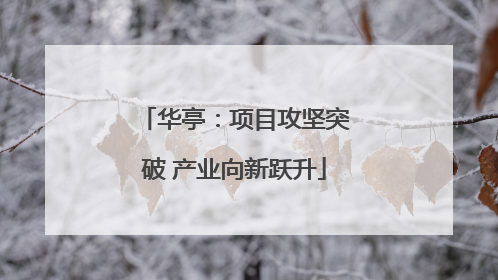 华亭：项目攻坚突破 产业向新跃升