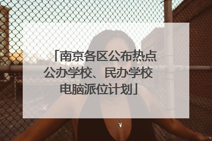 南京各区公布热点公办学校、民办学校电脑派位计划