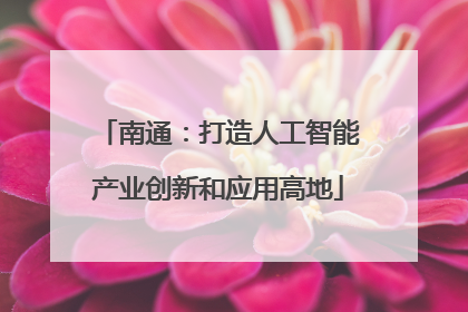 南通：打造人工智能产业创新和应用高地