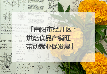 南阳市经开区：烘焙食品产销旺 带动就业促发展