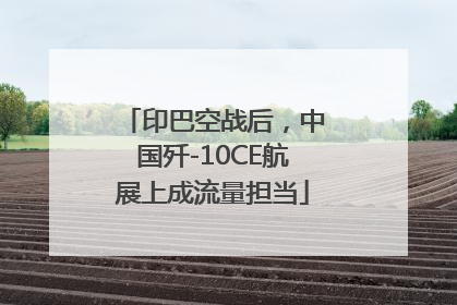 印巴空战后，中国歼-10CE航展上成流量担当