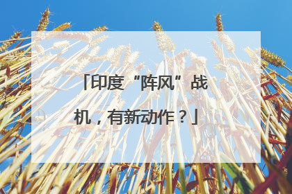 印度“阵风”战机，有新动作？