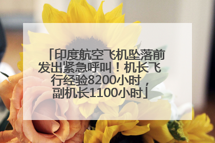 印度航空飞机坠落前发出紧急呼叫！机长飞行经验8200小时，副机长1100小时