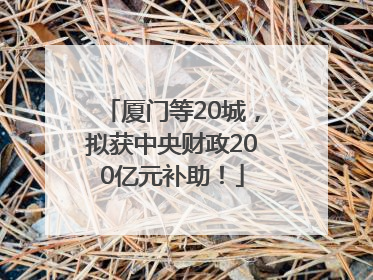 厦门等20城，拟获中央财政200亿元补助！