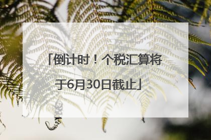 倒计时！个税汇算将于6月30日截止