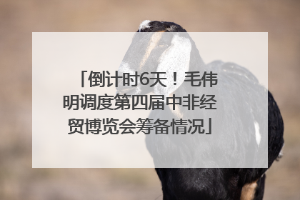 倒计时6天！毛伟明调度第四届中非经贸博览会筹备情况