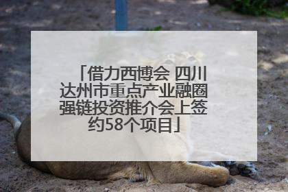 借力西博会 四川达州市重点产业融圈强链投资推介会上签约58个项目