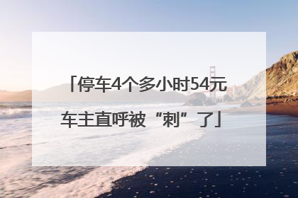 停车4个多小时54元 车主直呼被“刺”了