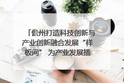 儋州打造科技创新与产业创新融合发展“样板间” 为产业发展插上科技“翅膀”
