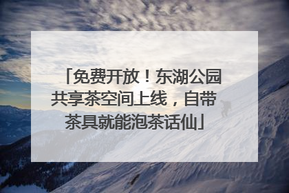 免费开放！东湖公园共享茶空间上线，自带茶具就能泡茶话仙