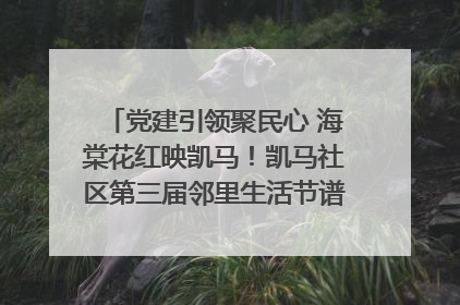 党建引领聚民心 海棠花红映凯马！凯马社区第三届邻里生活节谱写幸福新篇章