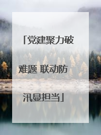 党建聚力破难题 联动防汛显担当