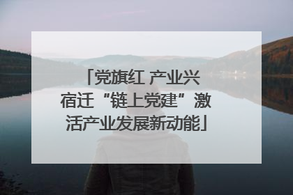 党旗红 产业兴 宿迁“链上党建”激活产业发展新动能
