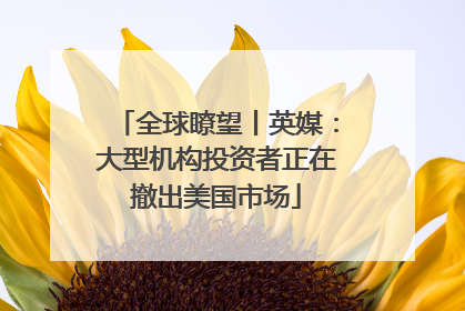 全球瞭望丨英媒：大型机构投资者正在撤出美国市场