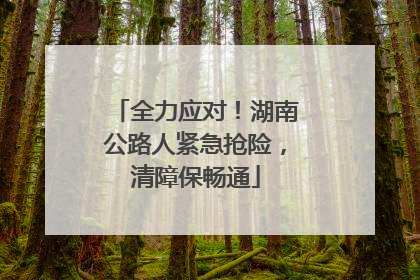全力应对！湖南公路人紧急抢险，清障保畅通
