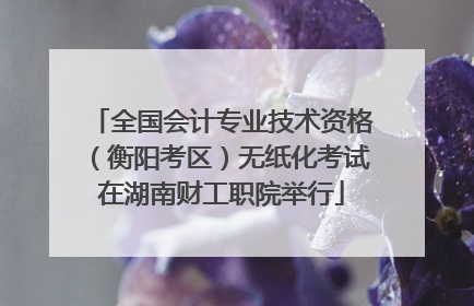全国会计专业技术资格（衡阳考区）无纸化考试在湖南财工职院举行