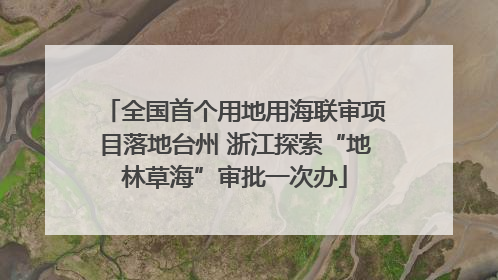 全国首个用地用海联审项目落地台州 浙江探索“地林草海”审批一次办