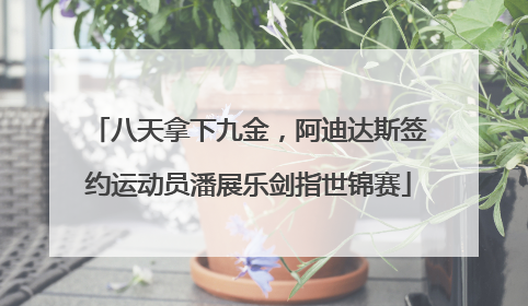 八天拿下九金，阿迪达斯签约运动员潘展乐剑指世锦赛
