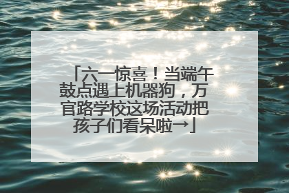 六一惊喜！当端午鼓点遇上机器狗，万官路学校这场活动把孩子们看呆啦→