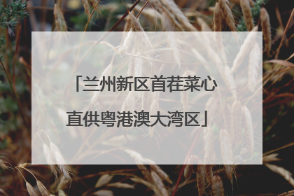兰州新区首茬菜心直供粤港澳大湾区
