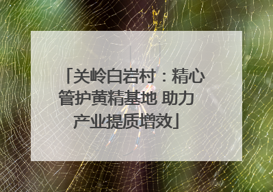 关岭白岩村：精心管护黄精基地 助力产业提质增效
